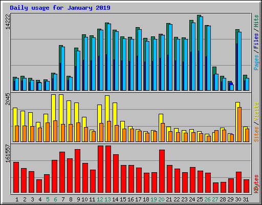 Daily usage for January 2019