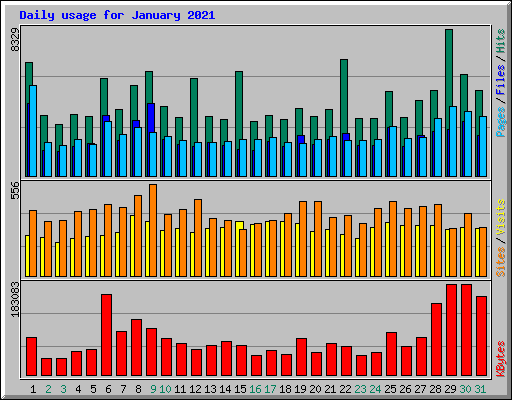 Daily usage for January 2021
