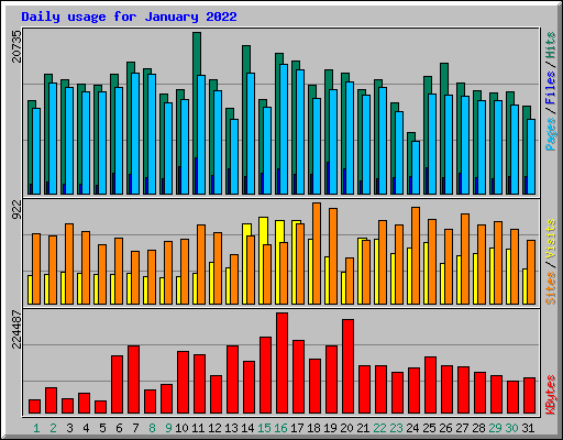 Daily usage for January 2022