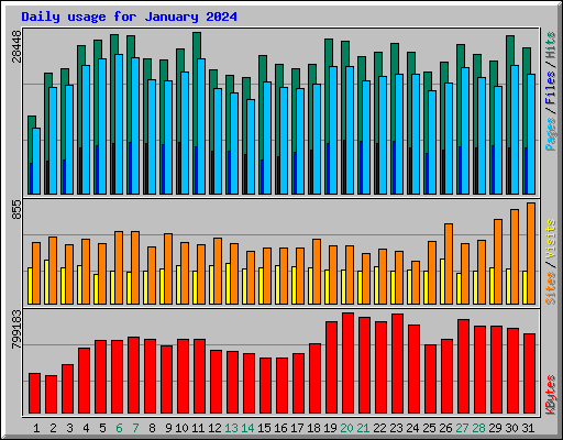 Daily usage for January 2024