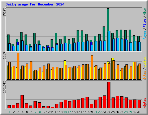 Daily usage for December 2024