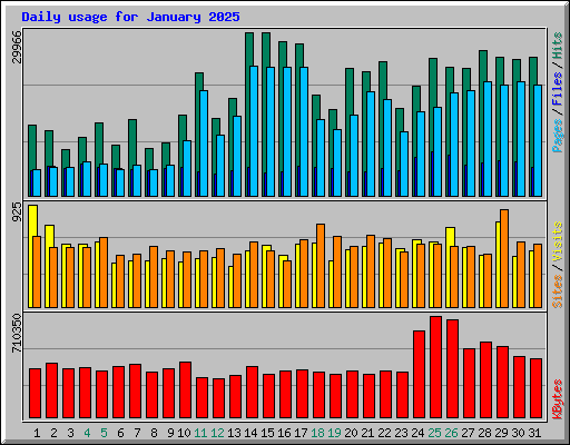 Daily usage for January 2025