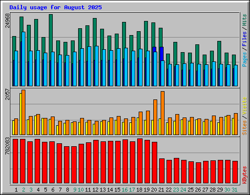 Daily usage for August 2025