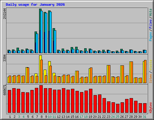 Daily usage for January 2026