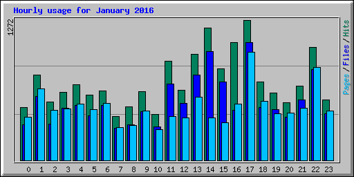Hourly usage for January 2016
