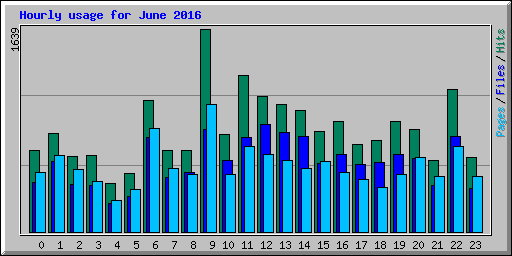 Hourly usage for June 2016