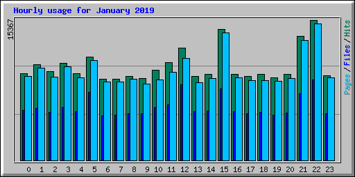 Hourly usage for January 2019