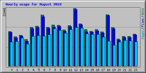 Hourly usage for August 2019