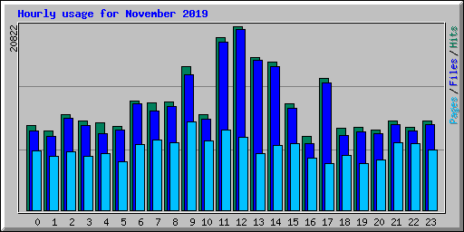Hourly usage for November 2019