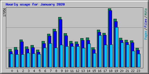 Hourly usage for January 2020