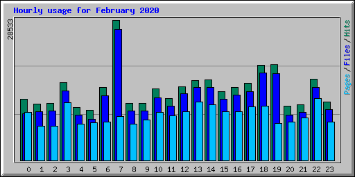 Hourly usage for February 2020