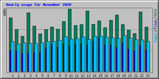 Hourly usage for November 2020