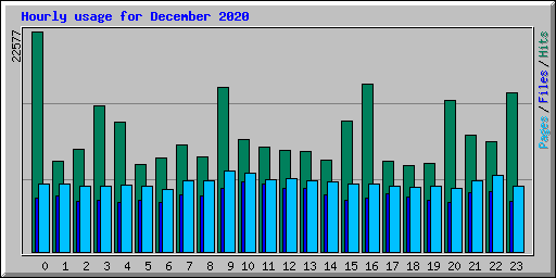 Hourly usage for December 2020