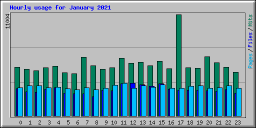Hourly usage for January 2021