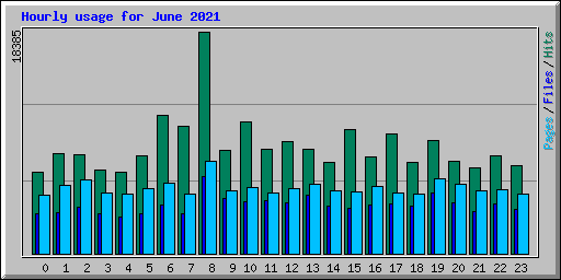 Hourly usage for June 2021
