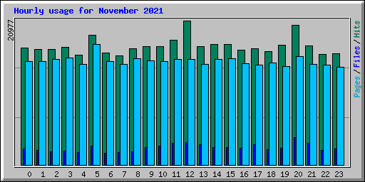 Hourly usage for November 2021