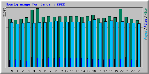 Hourly usage for January 2022