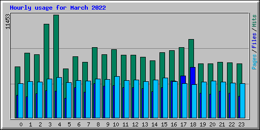 Hourly usage for March 2022