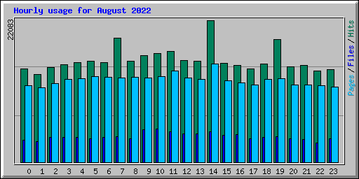 Hourly usage for August 2022