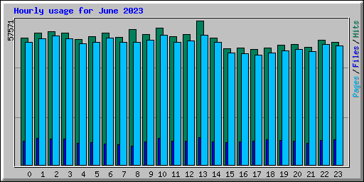 Hourly usage for June 2023
