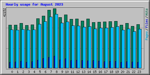 Hourly usage for August 2023