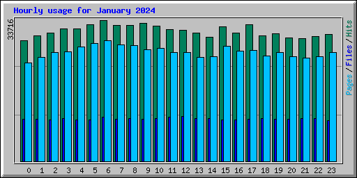 Hourly usage for January 2024