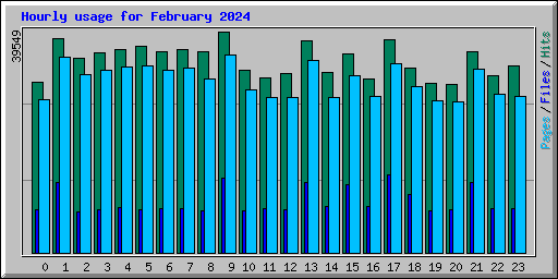 Hourly usage for February 2024