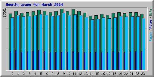 Hourly usage for March 2024