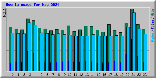 Hourly usage for May 2024