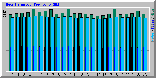 Hourly usage for June 2024