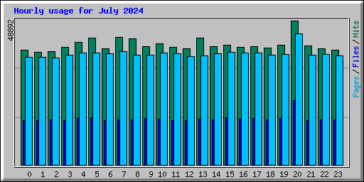 Hourly usage for July 2024