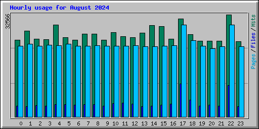 Hourly usage for August 2024