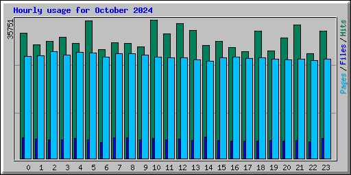 Hourly usage for October 2024