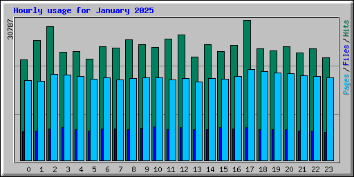Hourly usage for January 2025