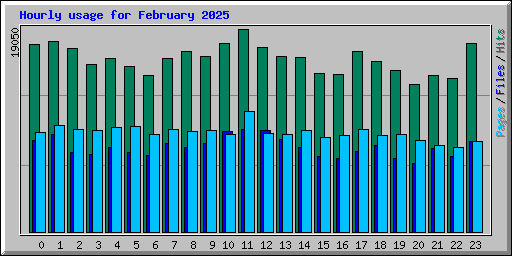 Hourly usage for February 2025