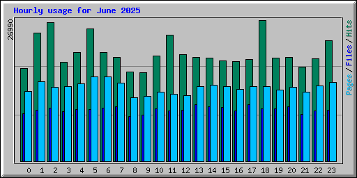 Hourly usage for June 2025