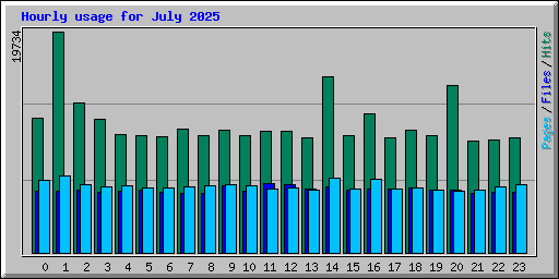 Hourly usage for July 2025