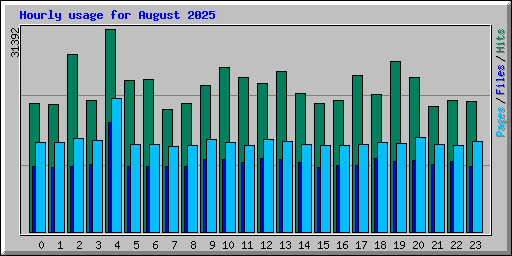 Hourly usage for August 2025