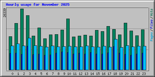 Hourly usage for November 2025
