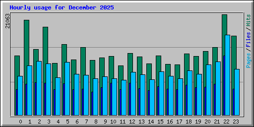 Hourly usage for December 2025