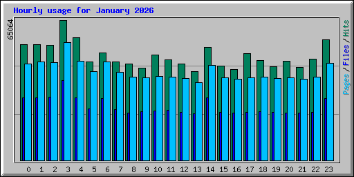Hourly usage for January 2026