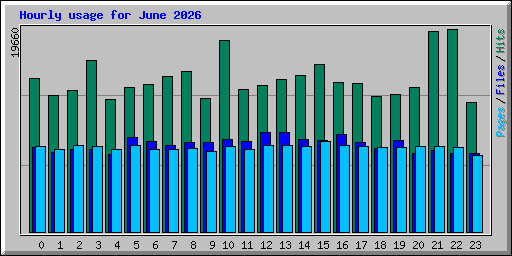 Hourly usage for June 2026